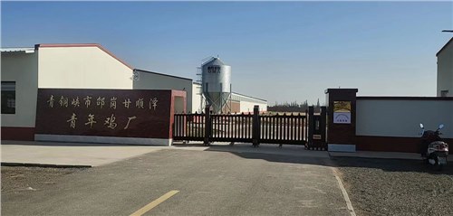 金碧輝煌係列案（àn）例